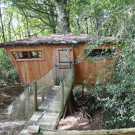 Les Ecolodges De L'Orbiere Force Luaran gambar