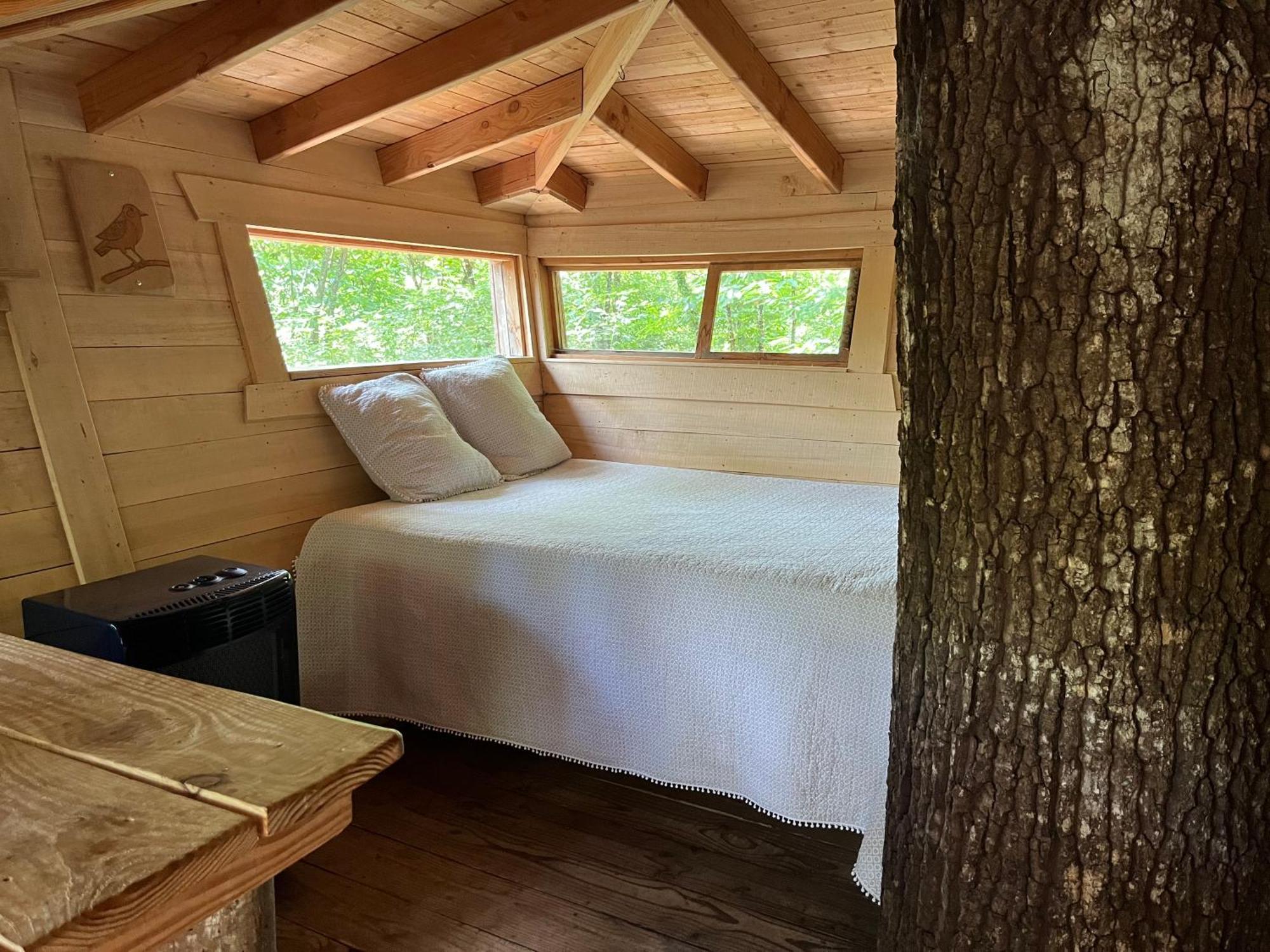 Les Ecolodges De L'Orbiere Force Luaran gambar