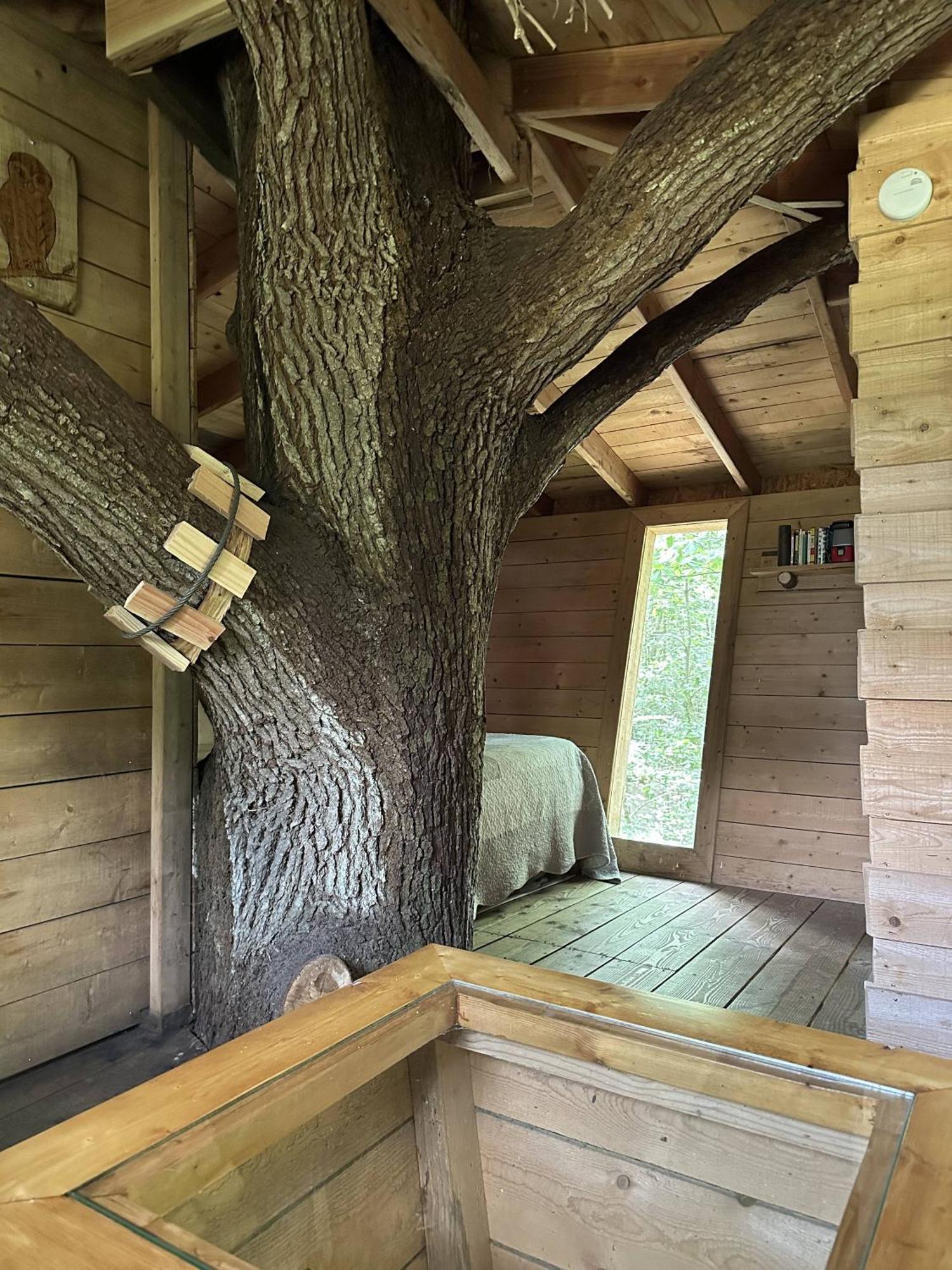 Les Ecolodges De L'Orbiere Force Luaran gambar
