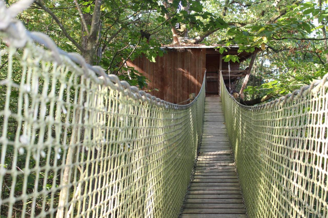 Les Ecolodges De L'Orbiere Force Luaran gambar