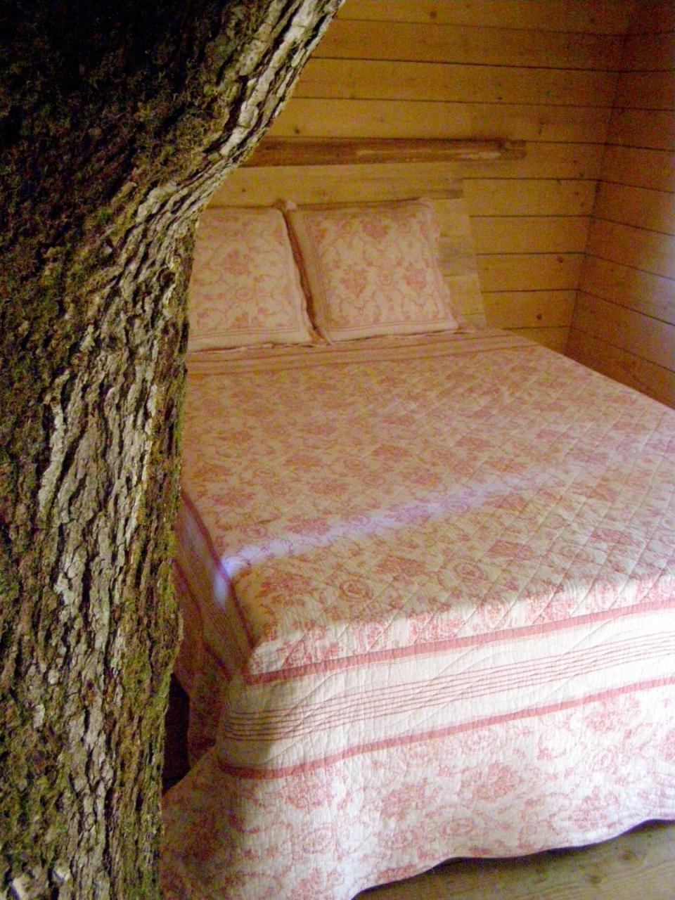 Les Ecolodges De L'Orbiere Force Luaran gambar