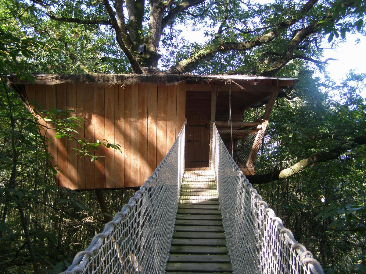 Les Ecolodges De L'Orbiere Force Luaran gambar