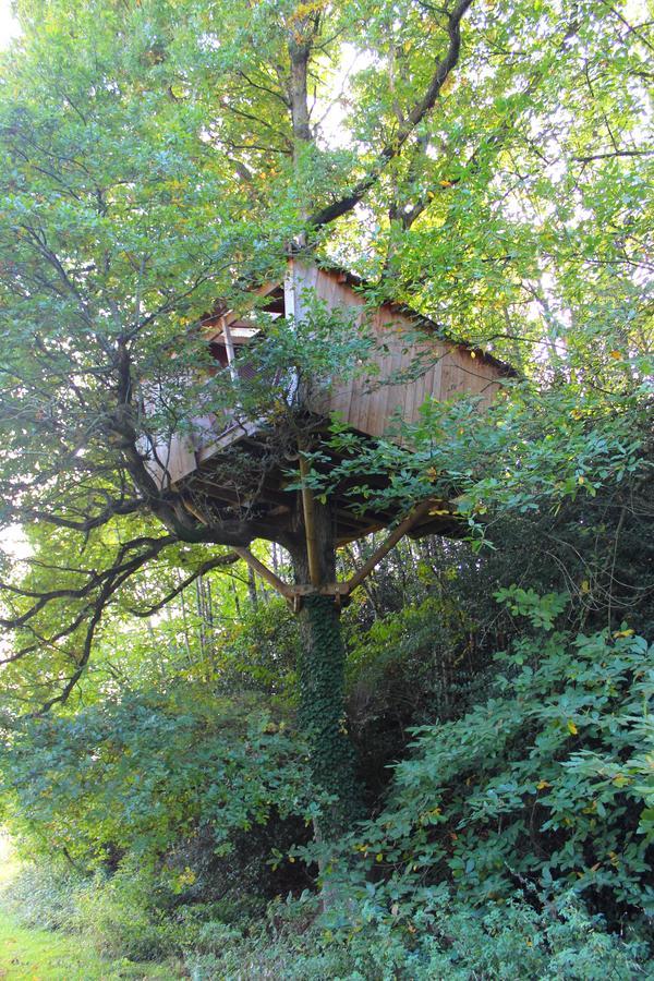Les Ecolodges De L'Orbiere Force Luaran gambar
