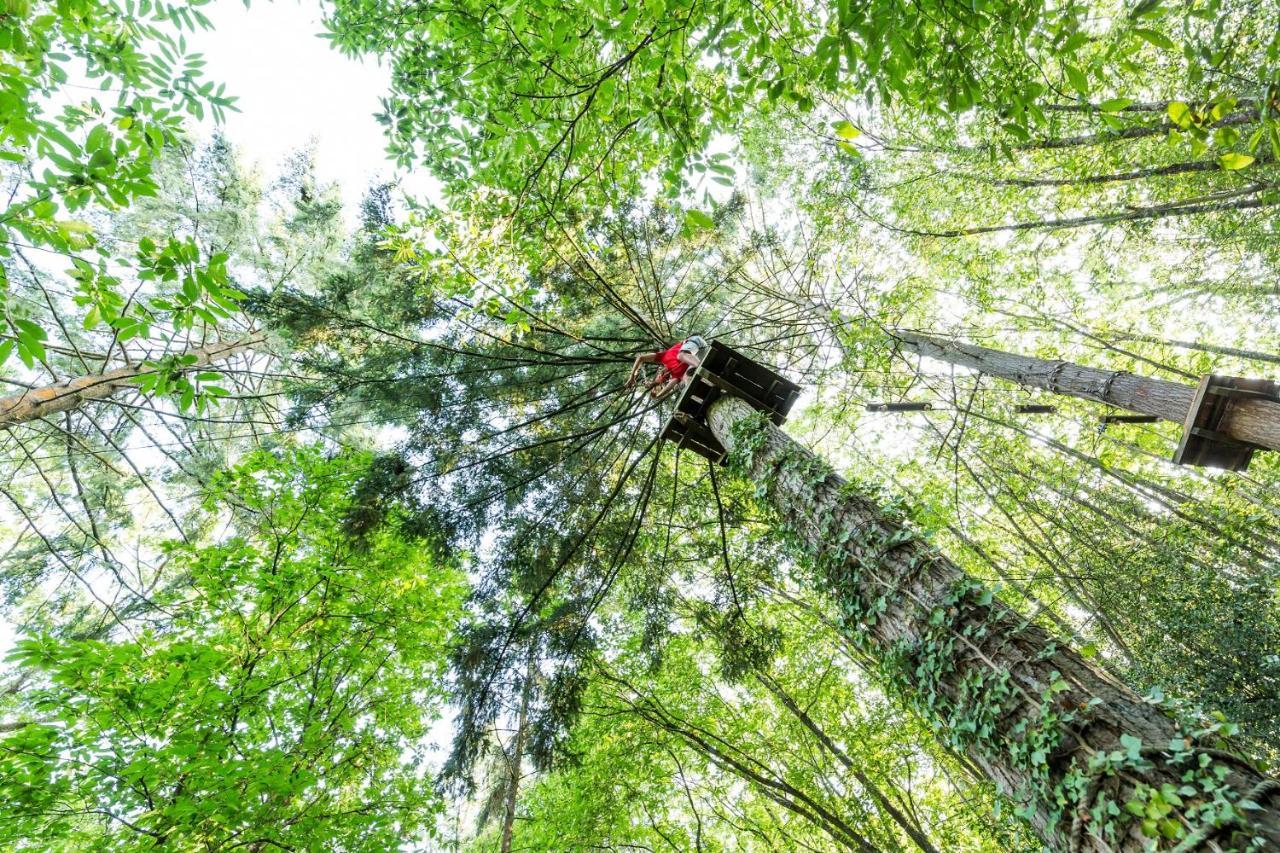 Les Ecolodges De L'Orbiere Force Luaran gambar
